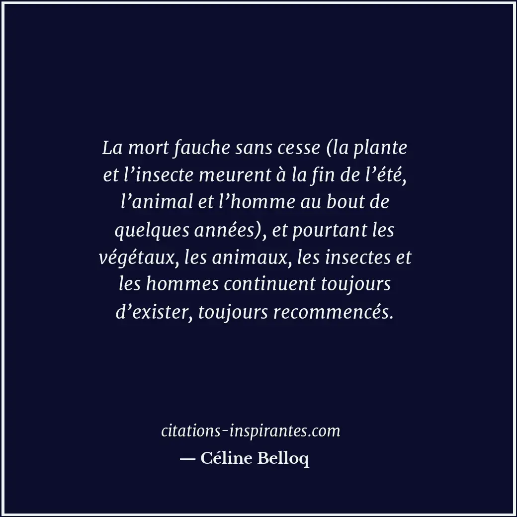 La mort fauche sans cesse (la plante et l’insecte meurent à la fin de l’été, l’a... Citation de Céline Belloq