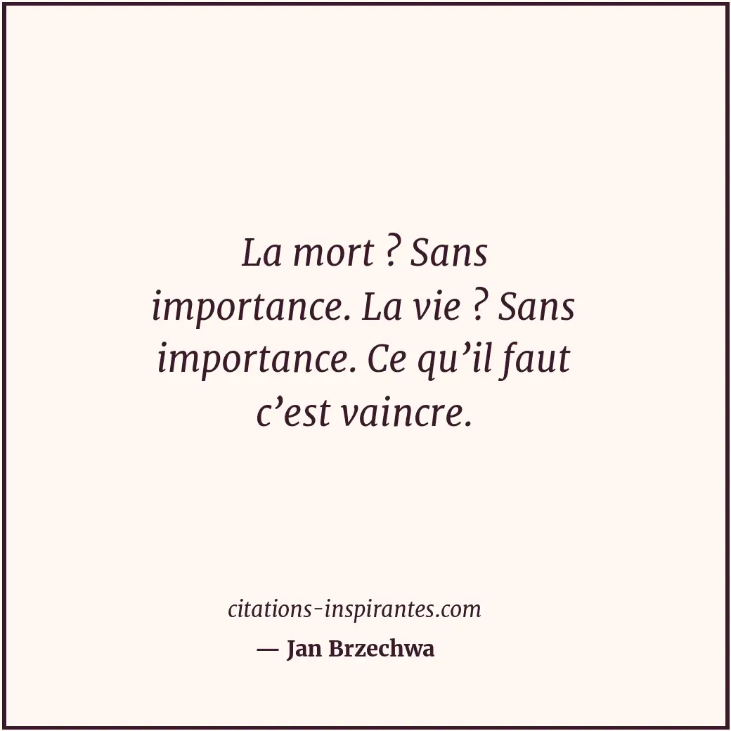 Citation de Jan Brzechwa