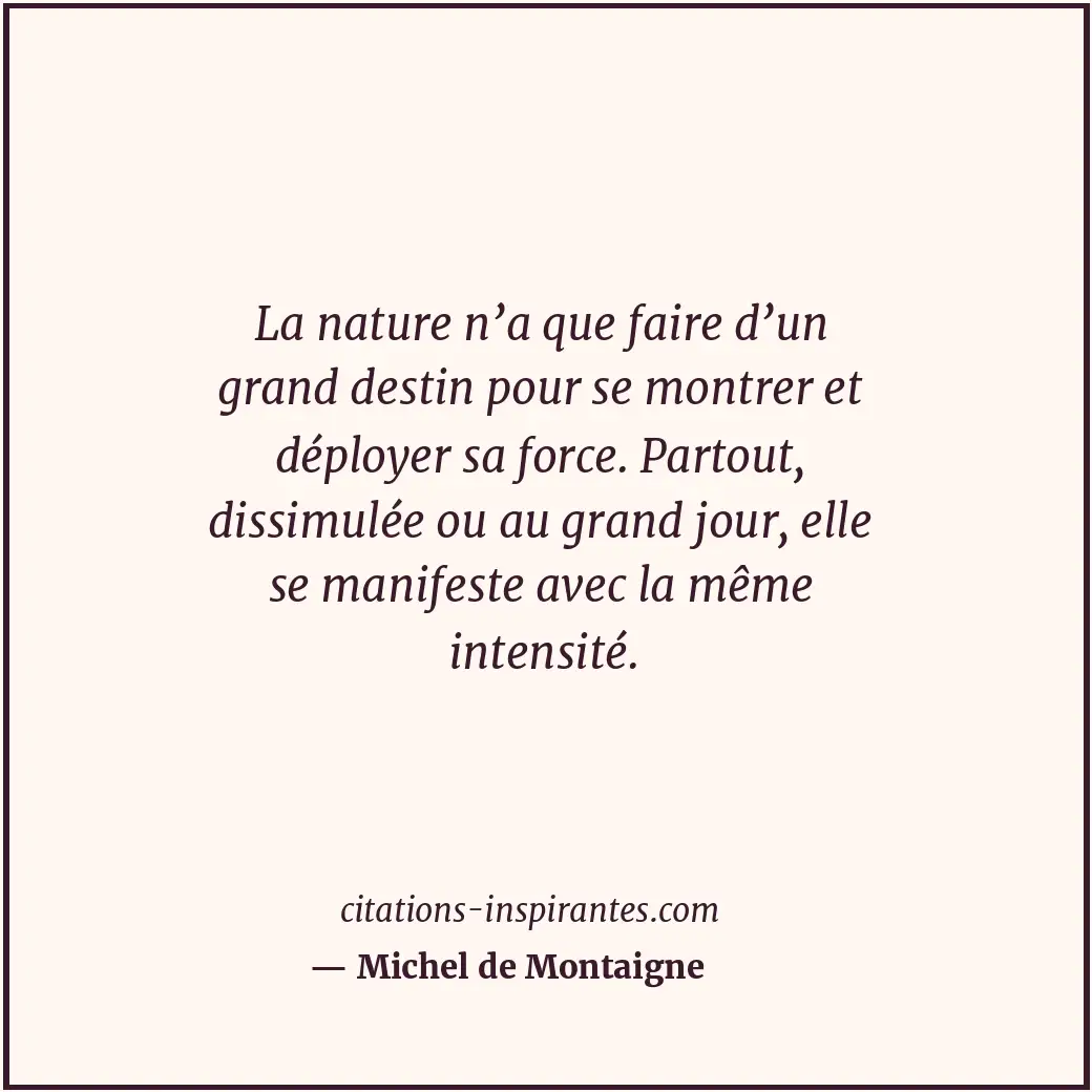 Citation de Michel de Montaigne