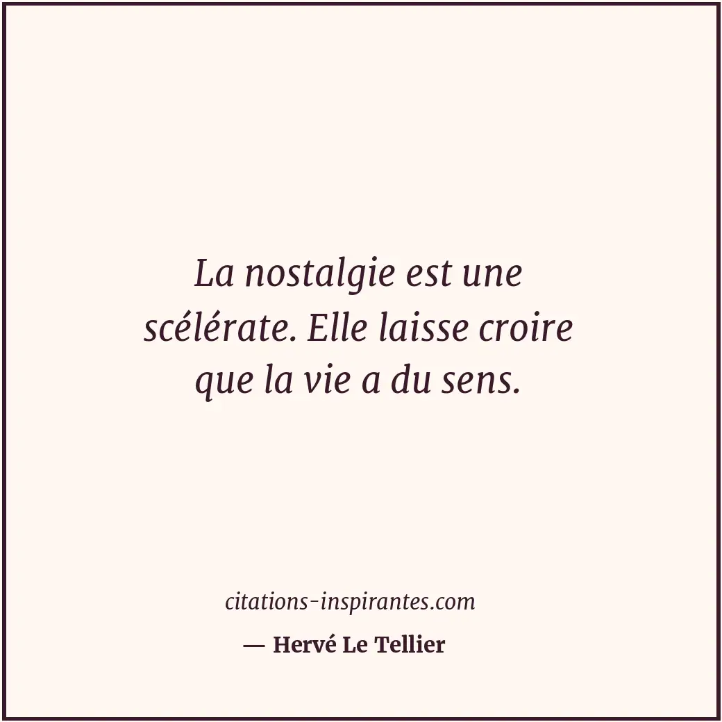 La nostalgie est une scélérate. Elle laisse croire que la vie a du sens. Citation de Hervé Le Tellier
