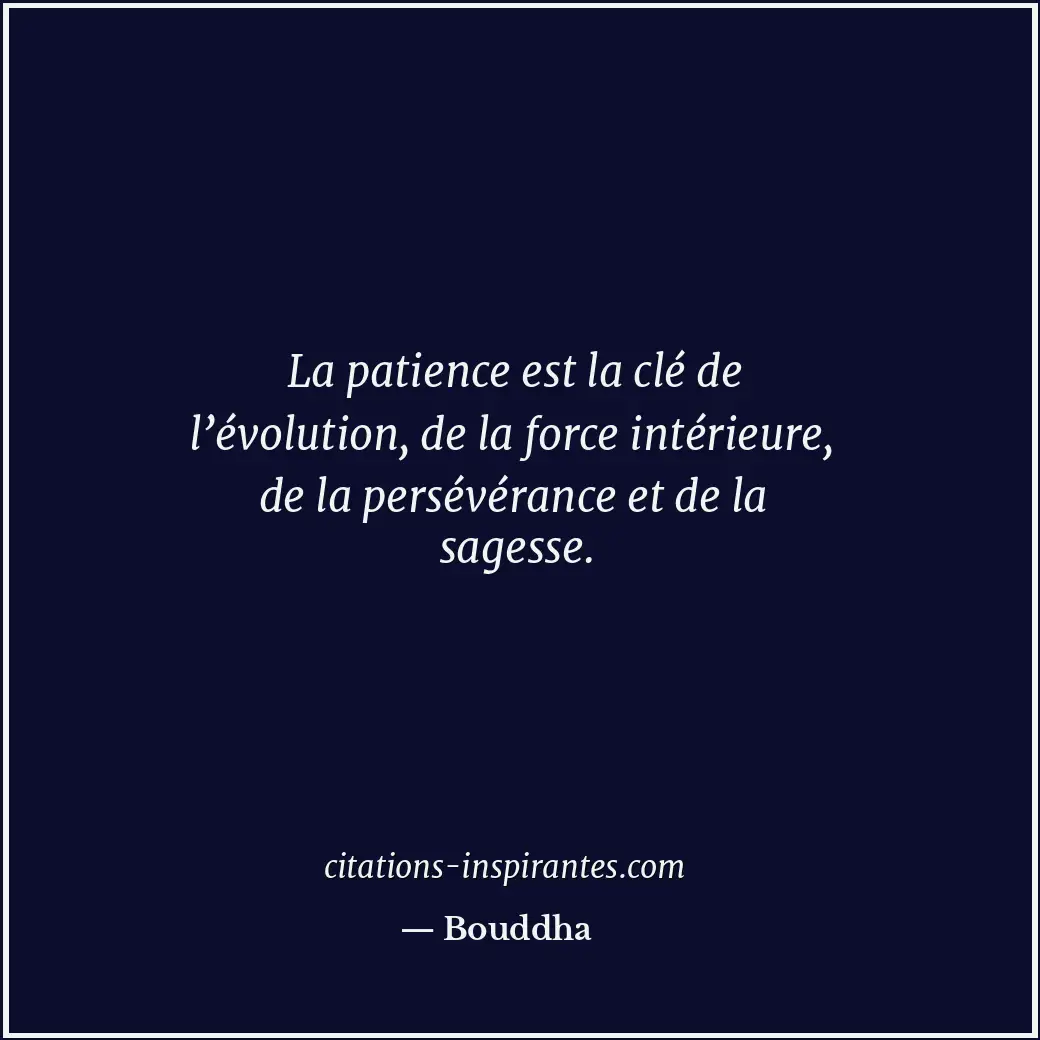 La patience est la clé de l’évolution, de la force intérieure, de la persévéranc... Citation de Bouddha
