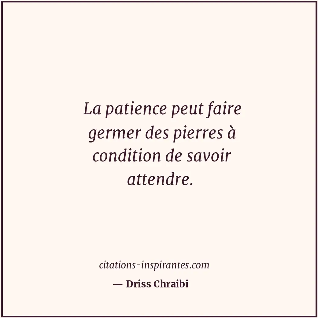 Citation de Driss Chraibi