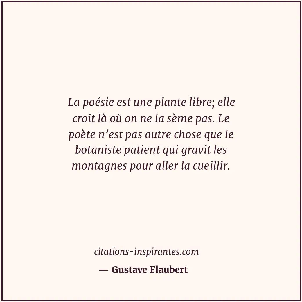 Citation de Gustave Flaubert