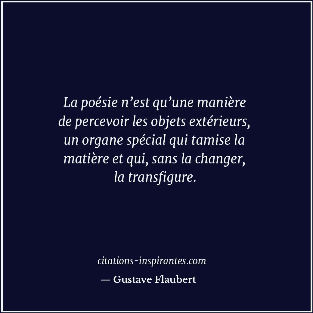 Citation de Gustave Flaubert