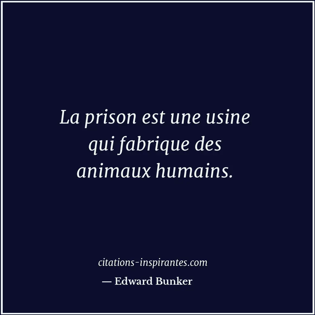 Citation de Edward Bunker