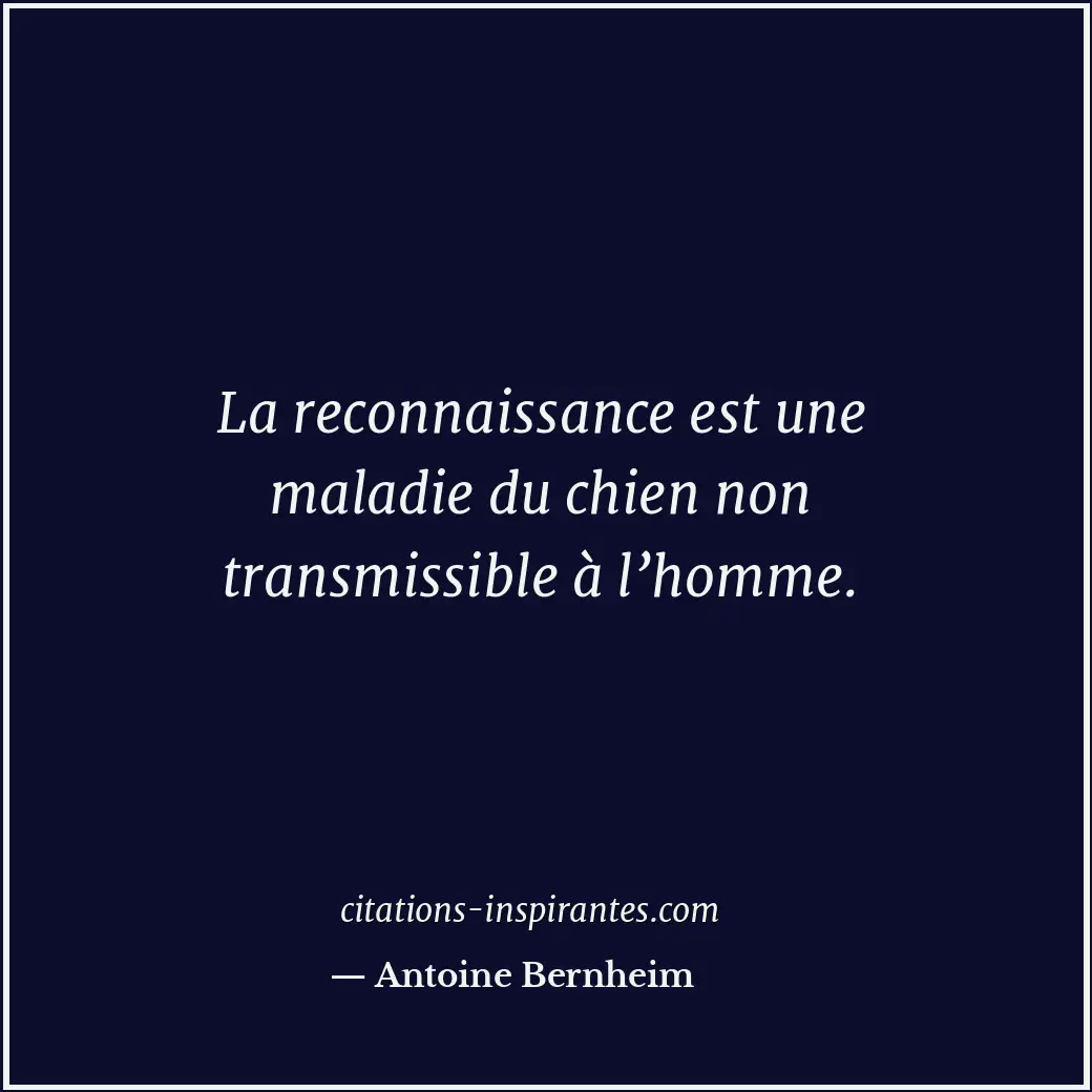 Citation de Antoine Bernheim