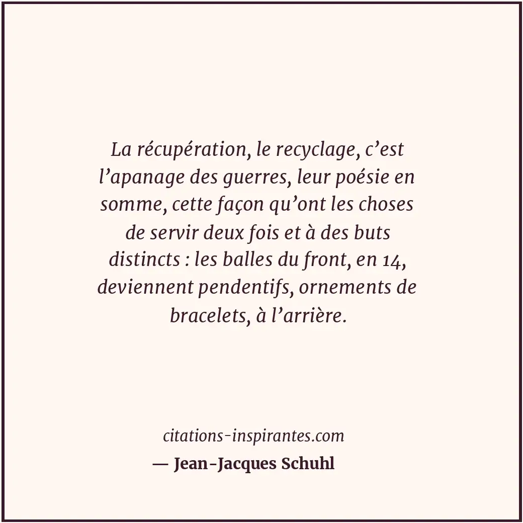 Citation de Jean-Jacques Schuhl