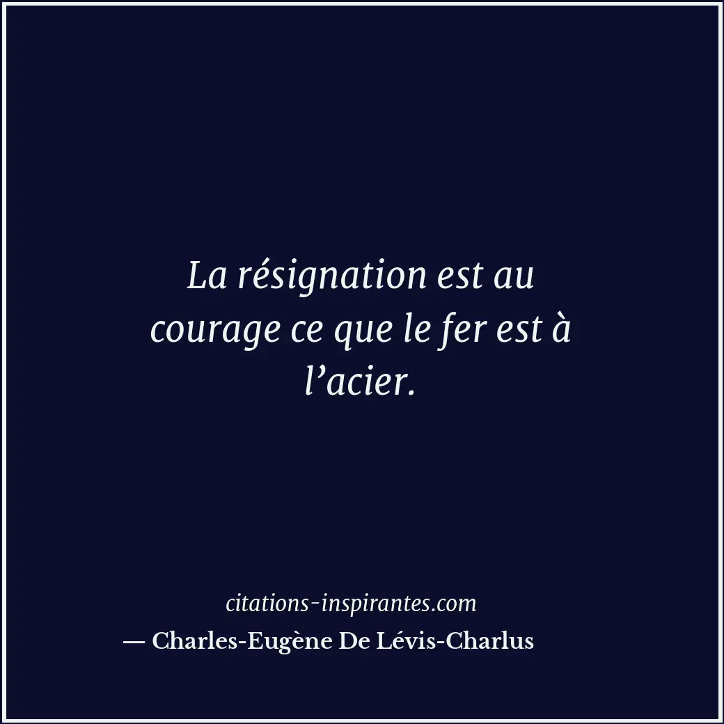 La résignation est au courage ce que le fer est à l’acier. Citation de Charles-Eugène De Lévis-Charlus