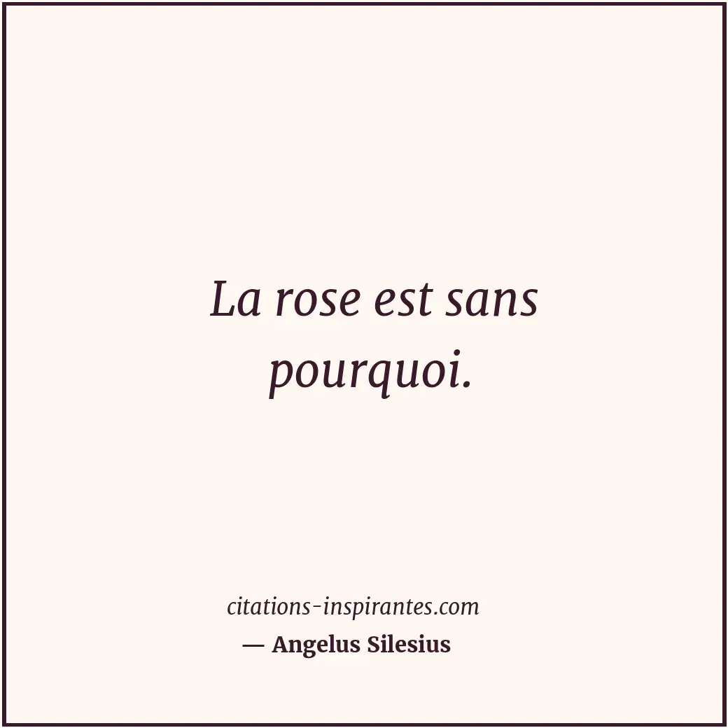 La rose est sans pourquoi. Citation de Angelus Silesius