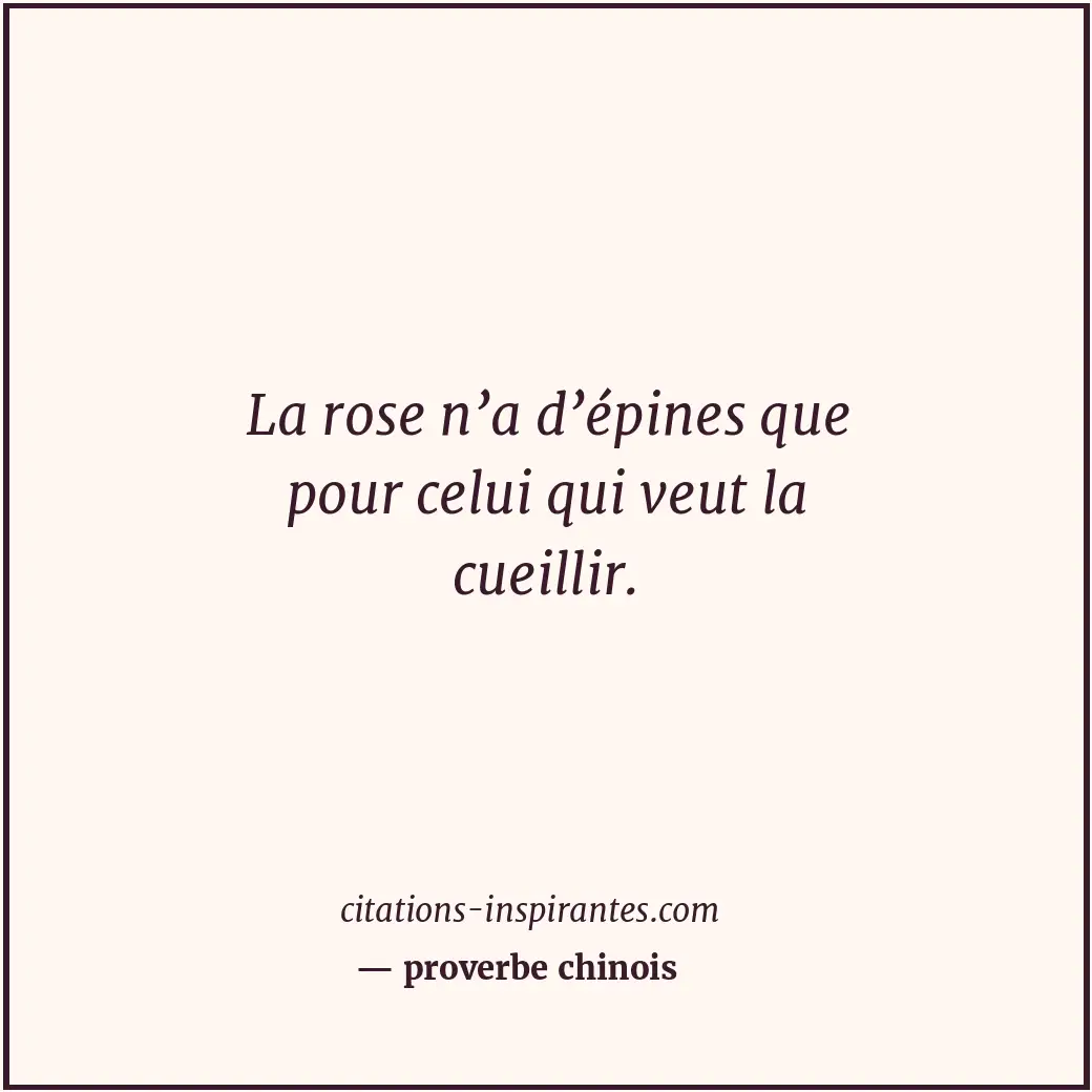 La rose n’a d’épines que pour celui qui veut la cueillir. Citation de proverbe chinois