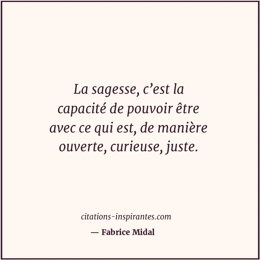 Citation de Fabrice Midal
