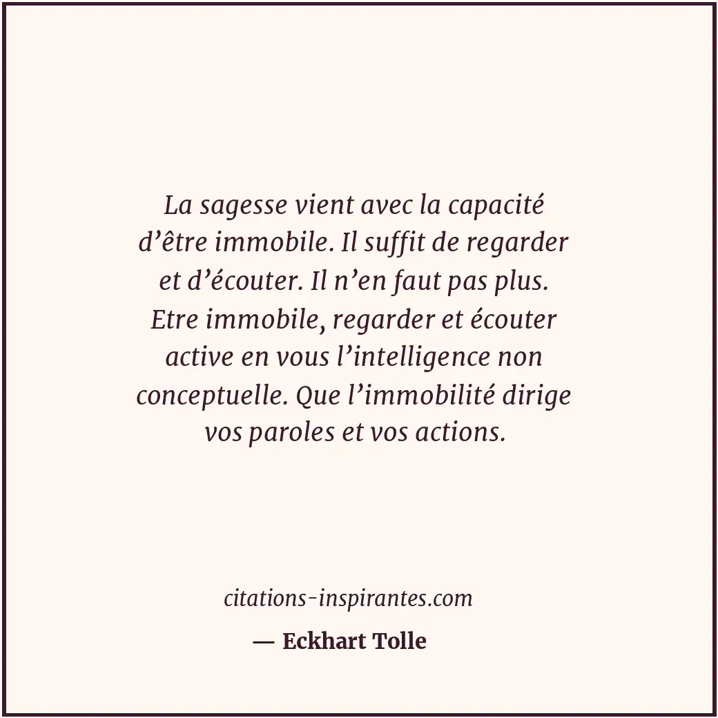 La sagesse vient avec la capacité d’être immobile. Il suffit de regarder et d’éc... Citation de Eckhart Tolle