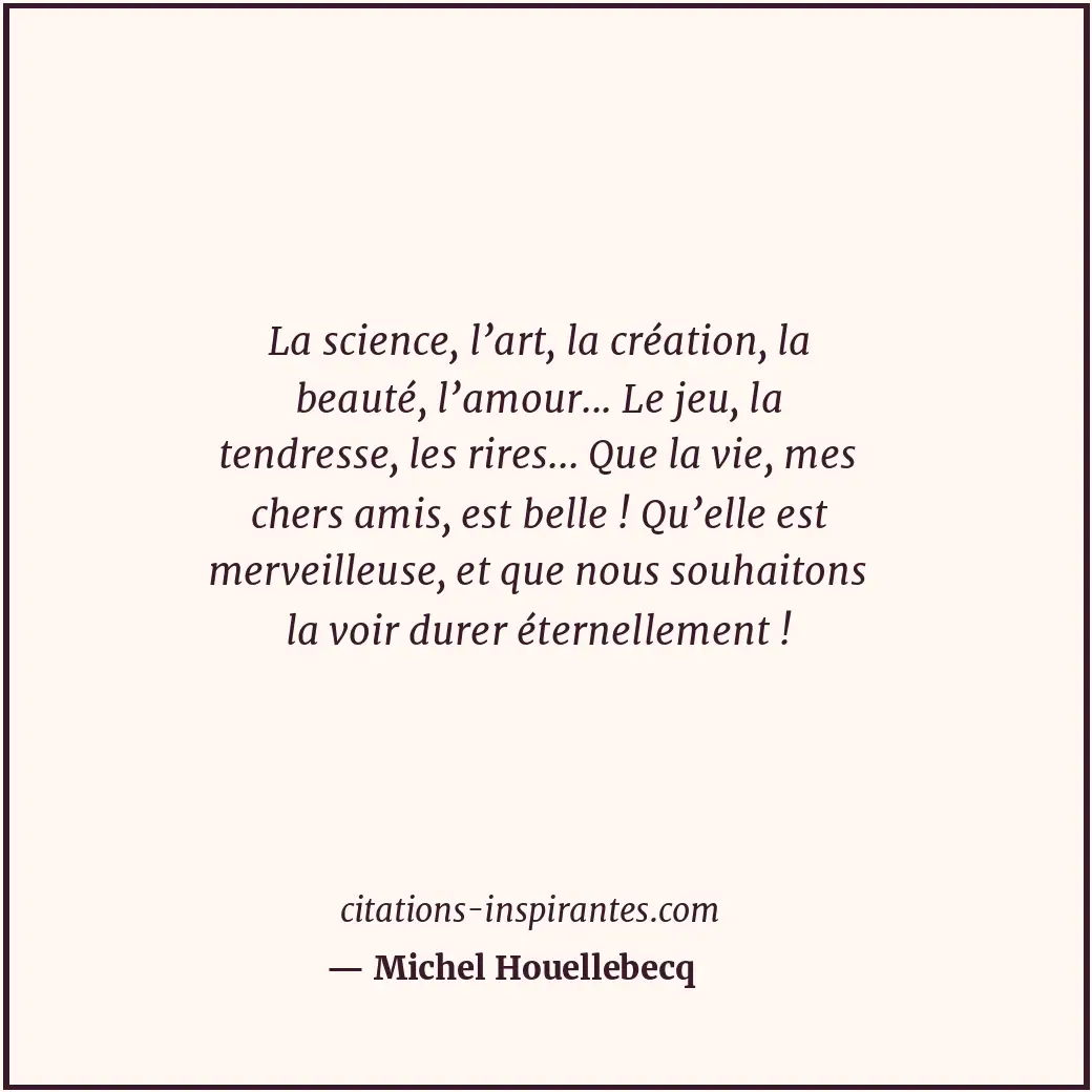 Citation de Michel Houellebecq