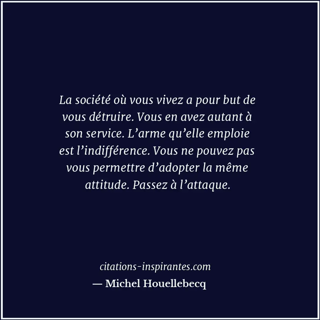Citation de Michel Houellebecq
