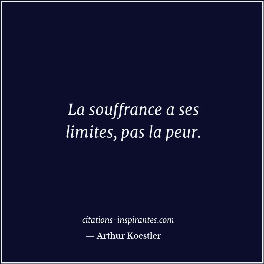 Citation de Arthur Koestler