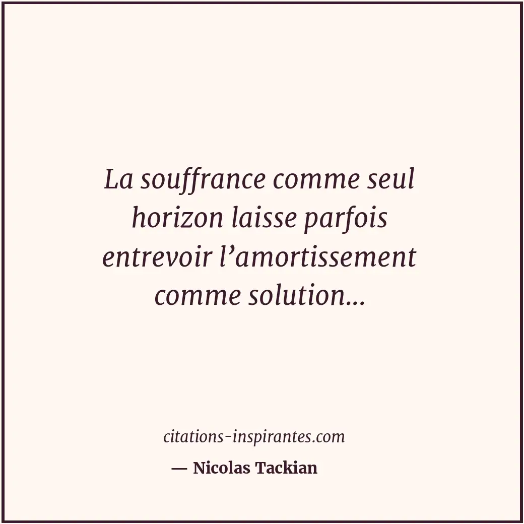 La souffrance comme seul horizon laisse parfois entrevoir l’amortissement comme... Citation de Nicolas Tackian