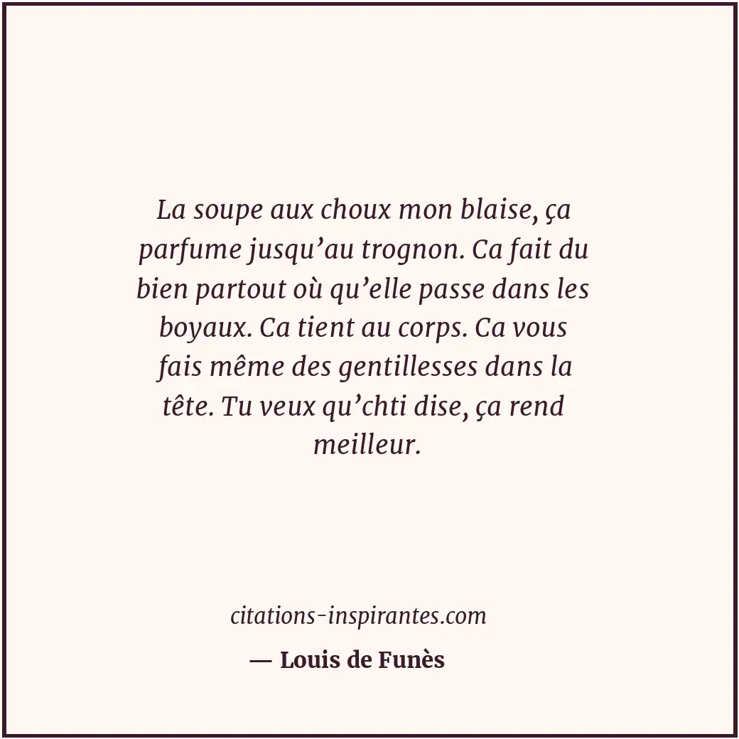 Citation de Louis de Funès