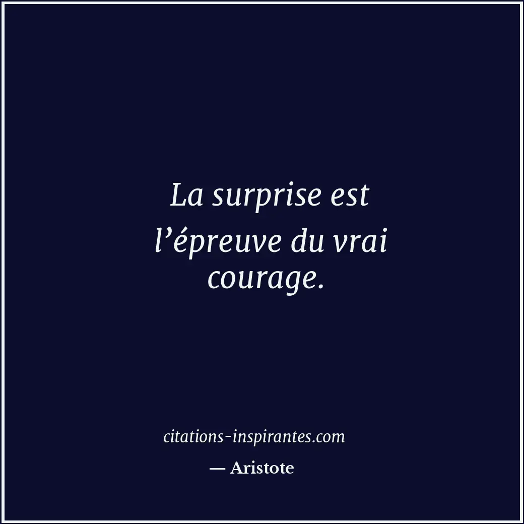 La surprise est l’épreuve du vrai courage. Citation de Aristote