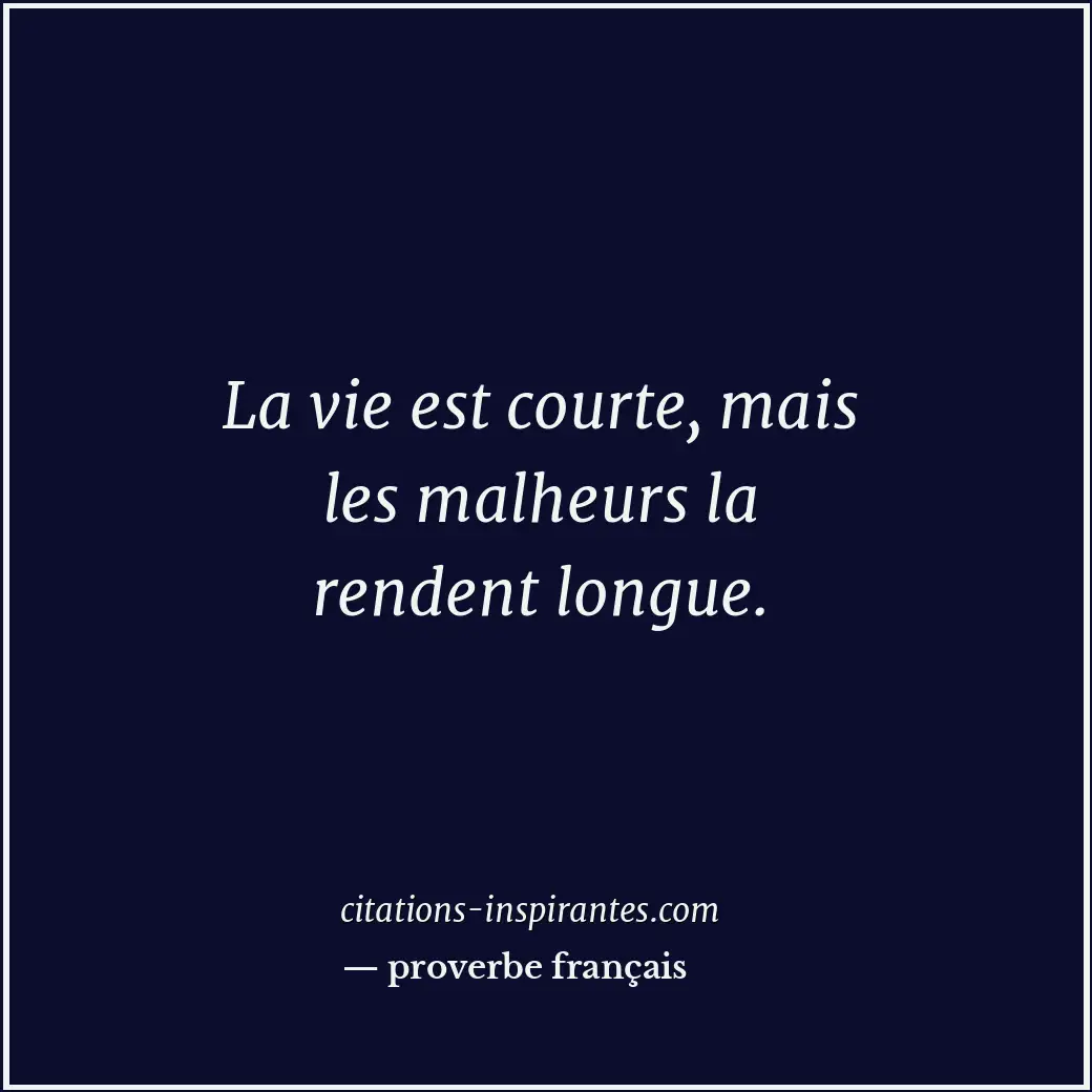 La vie est courte, mais les malheurs la rendent longue. Citation de proverbe français