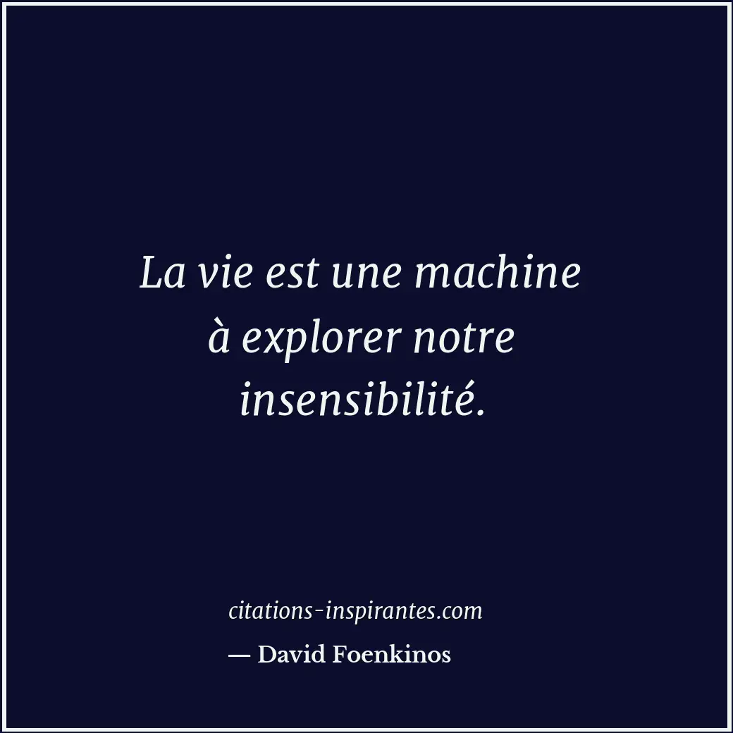 Citation de David Foenkinos