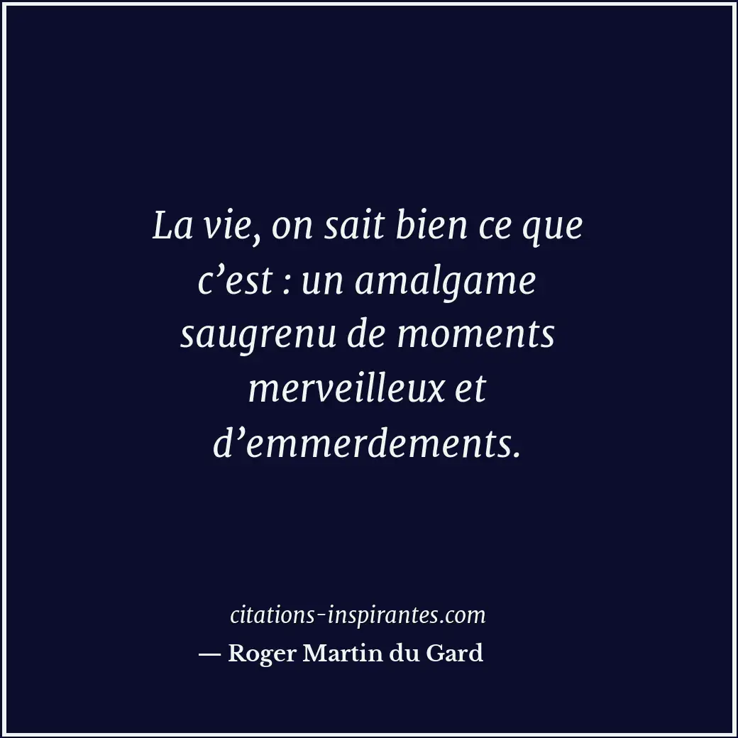 La vie, on sait bien ce que c’est : un amalgame saugrenu de moments merveilleux... Citation de Roger Martin du Gard