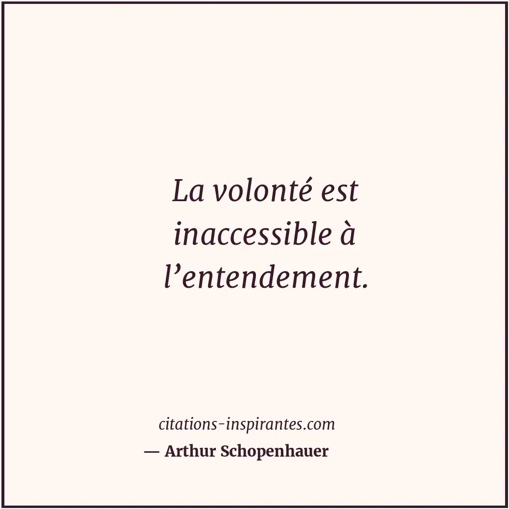 La volonté est inaccessible à l’entendement. Citation de Arthur Schopenhauer