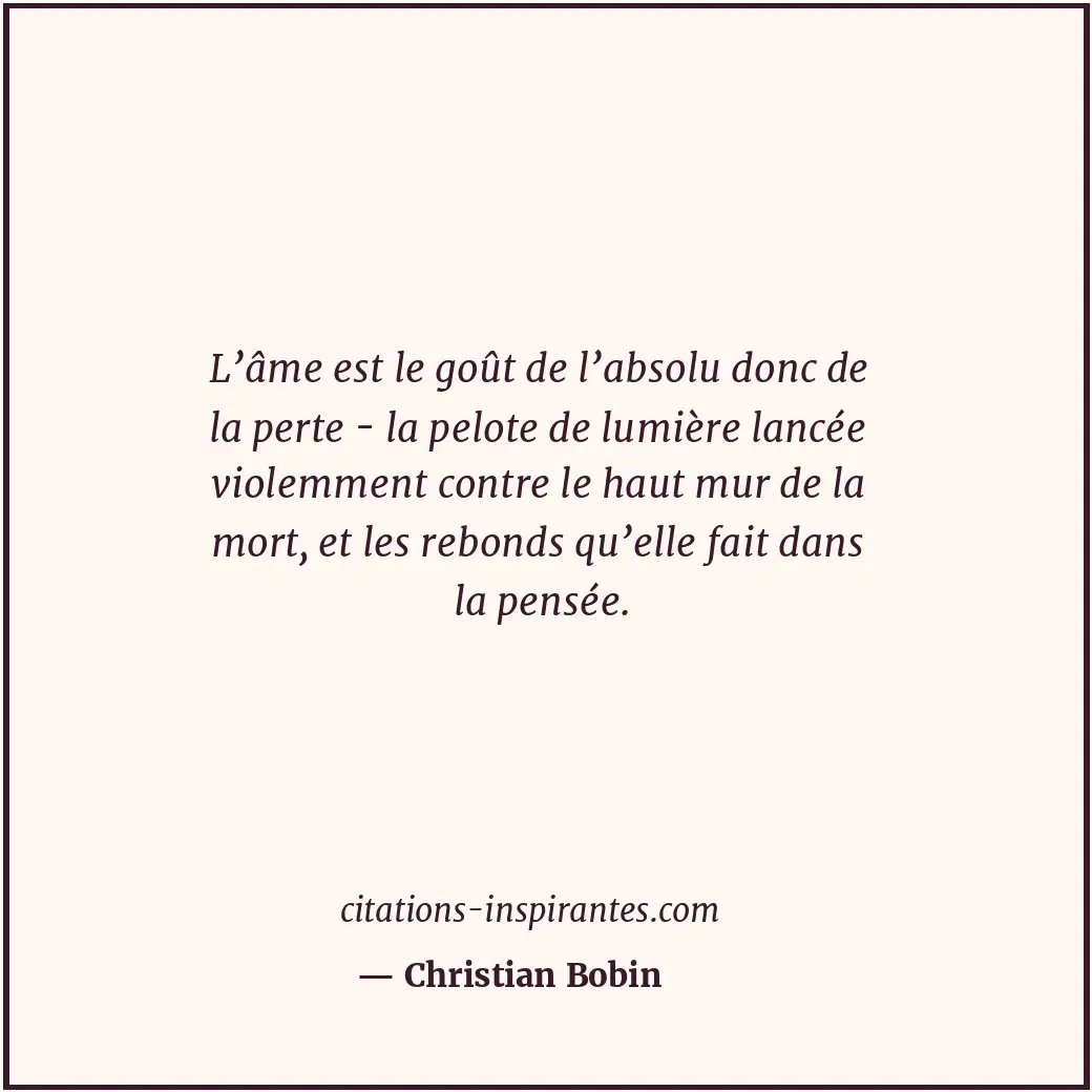 L’âme est le goût de l’absolu donc de la perte - la pelote de lumière lancée vio... Citation de Christian Bobin