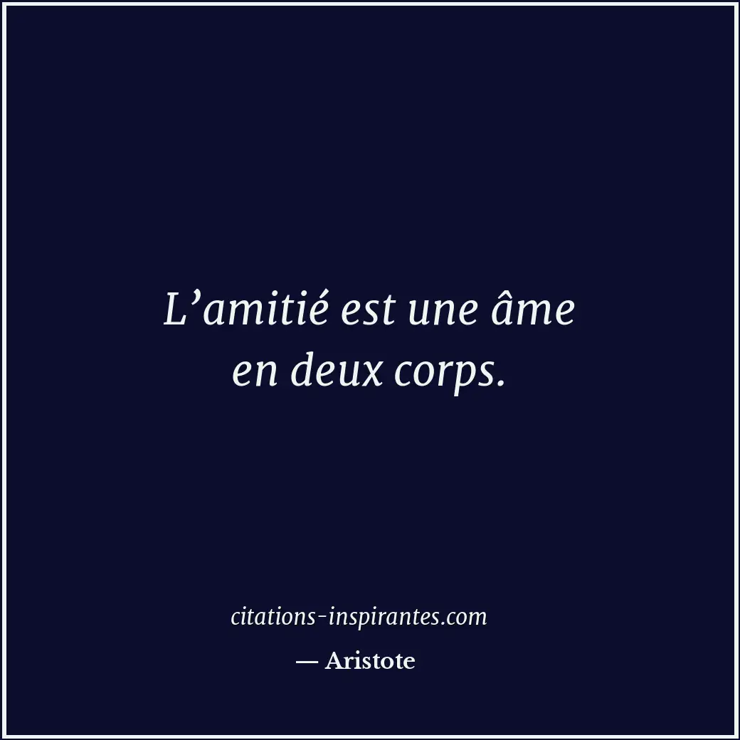 Citation de Aristote