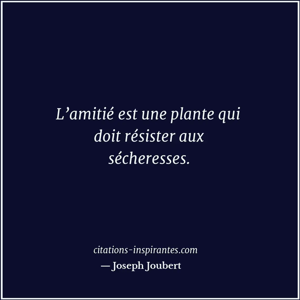 Citation de Joseph Joubert