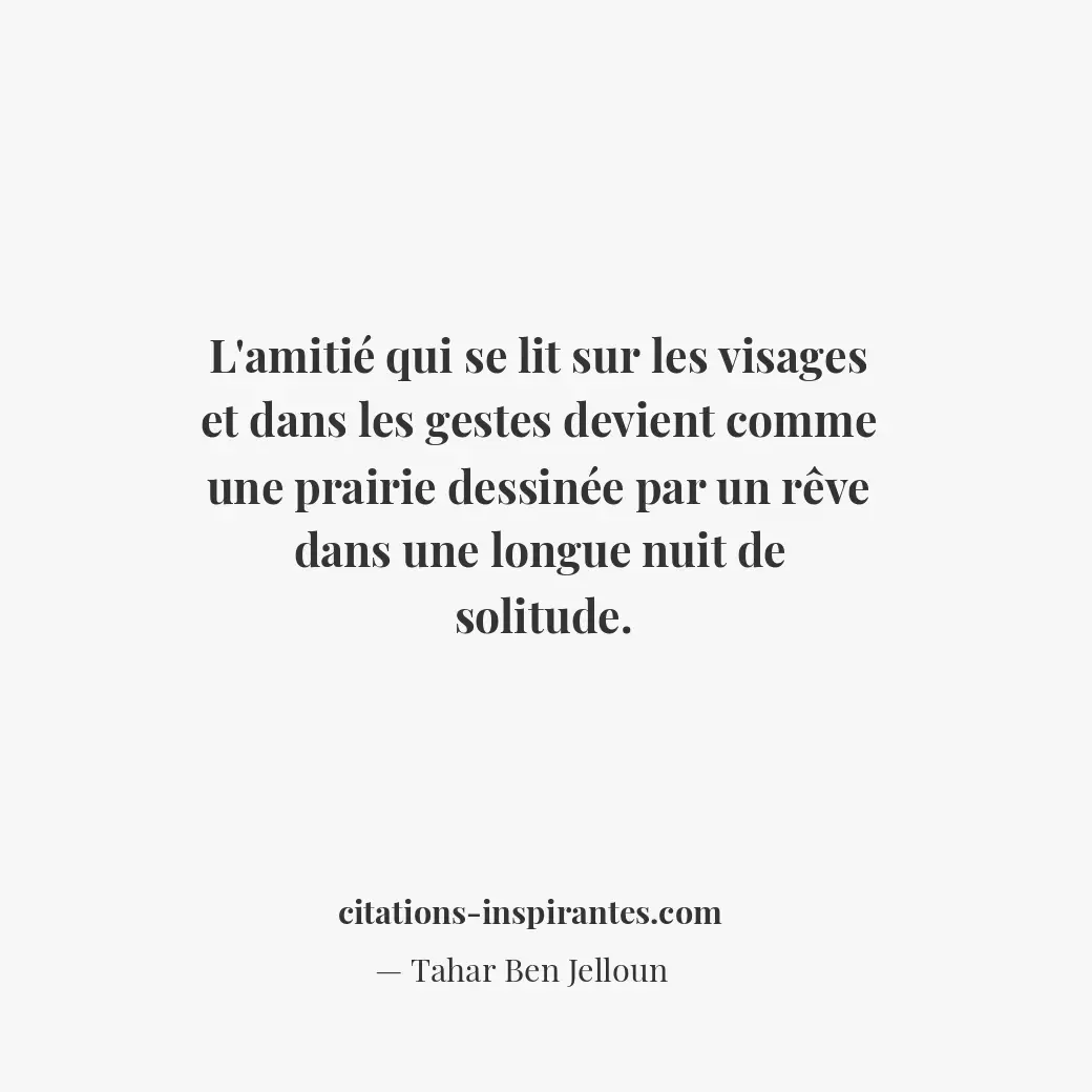 L’amitié qui se lit sur les visages et dans les gestes devient comme une prairie... Citation de Tahar Ben Jelloun