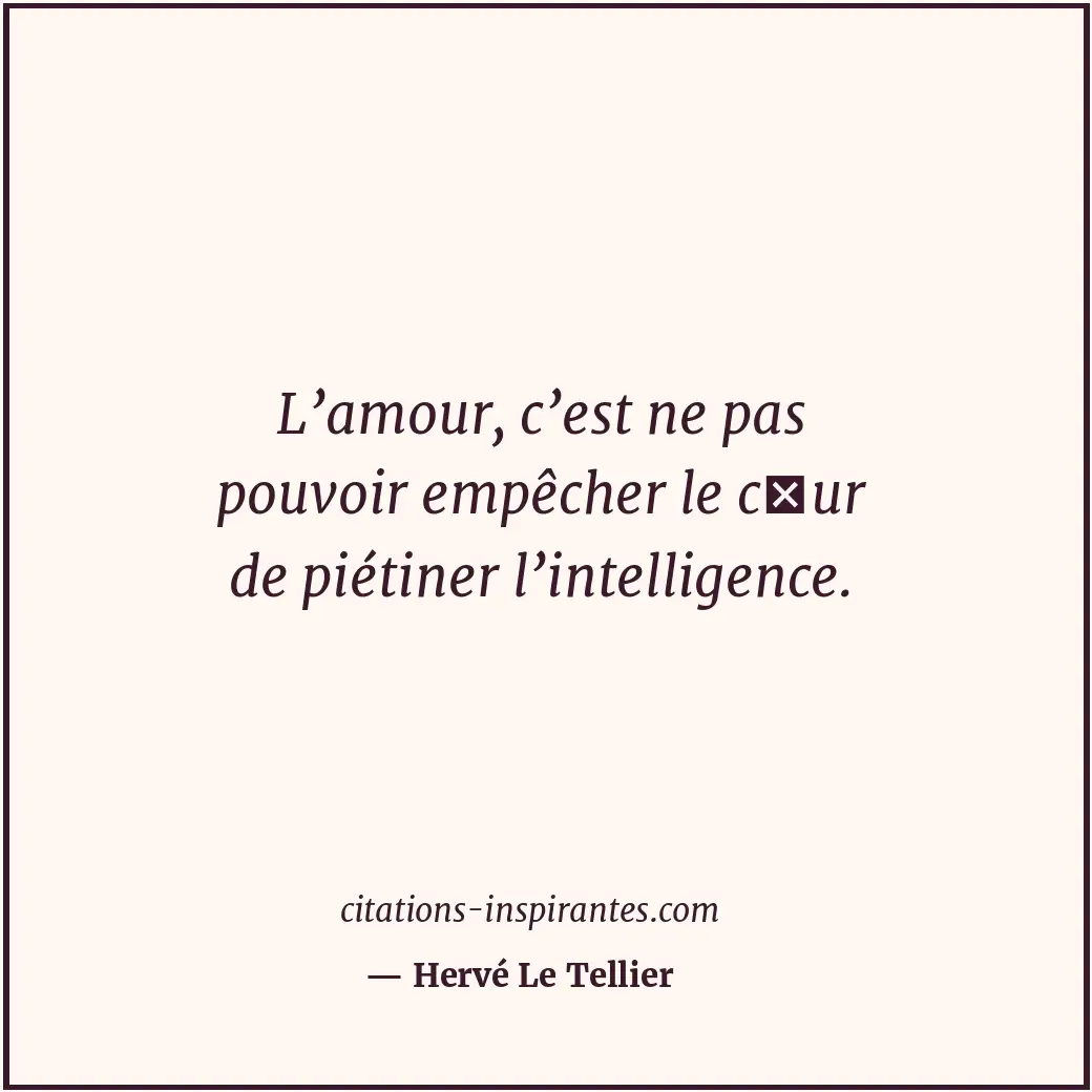 Citation de Hervé Le Tellier