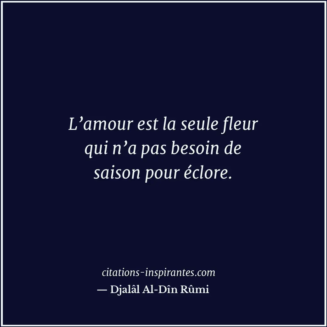 Citation de Djalâl Al-Dîn Rûmi
