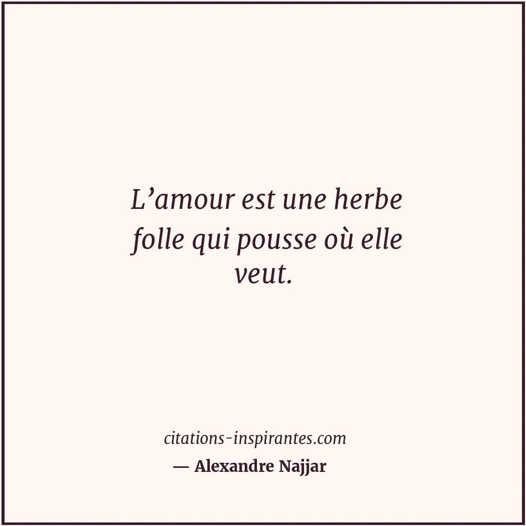L’amour est une herbe folle qui pousse où elle veut. Citation de Alexandre Najjar