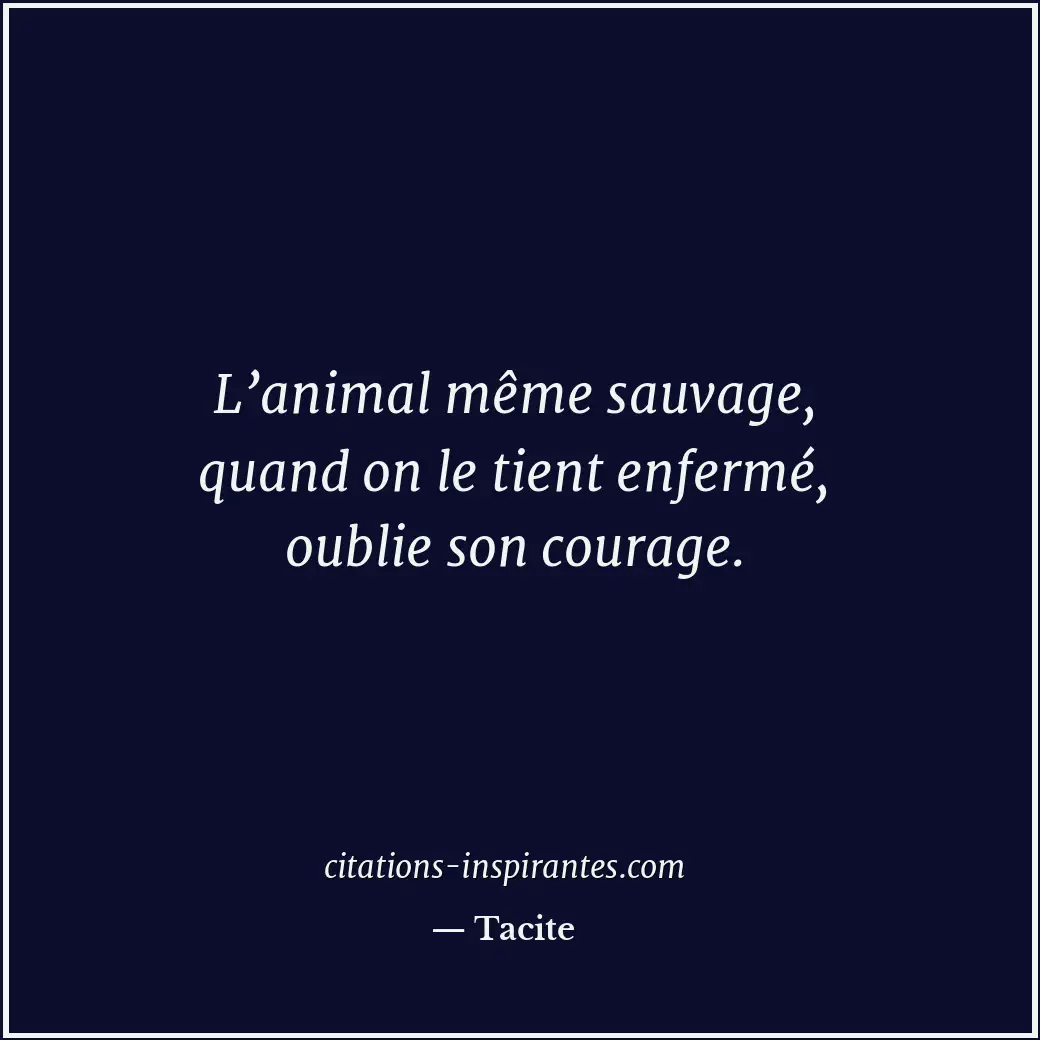 Citation de Tacite