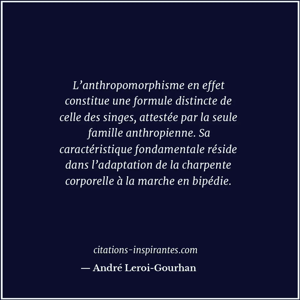 L’anthropomorphisme en effet constitue une formule distincte de celle des singes... Citation de André Leroi-Gourhan