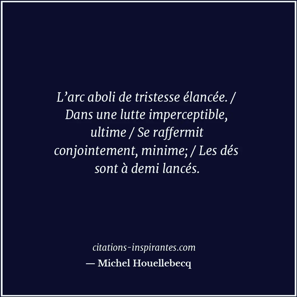 Citation de Michel Houellebecq