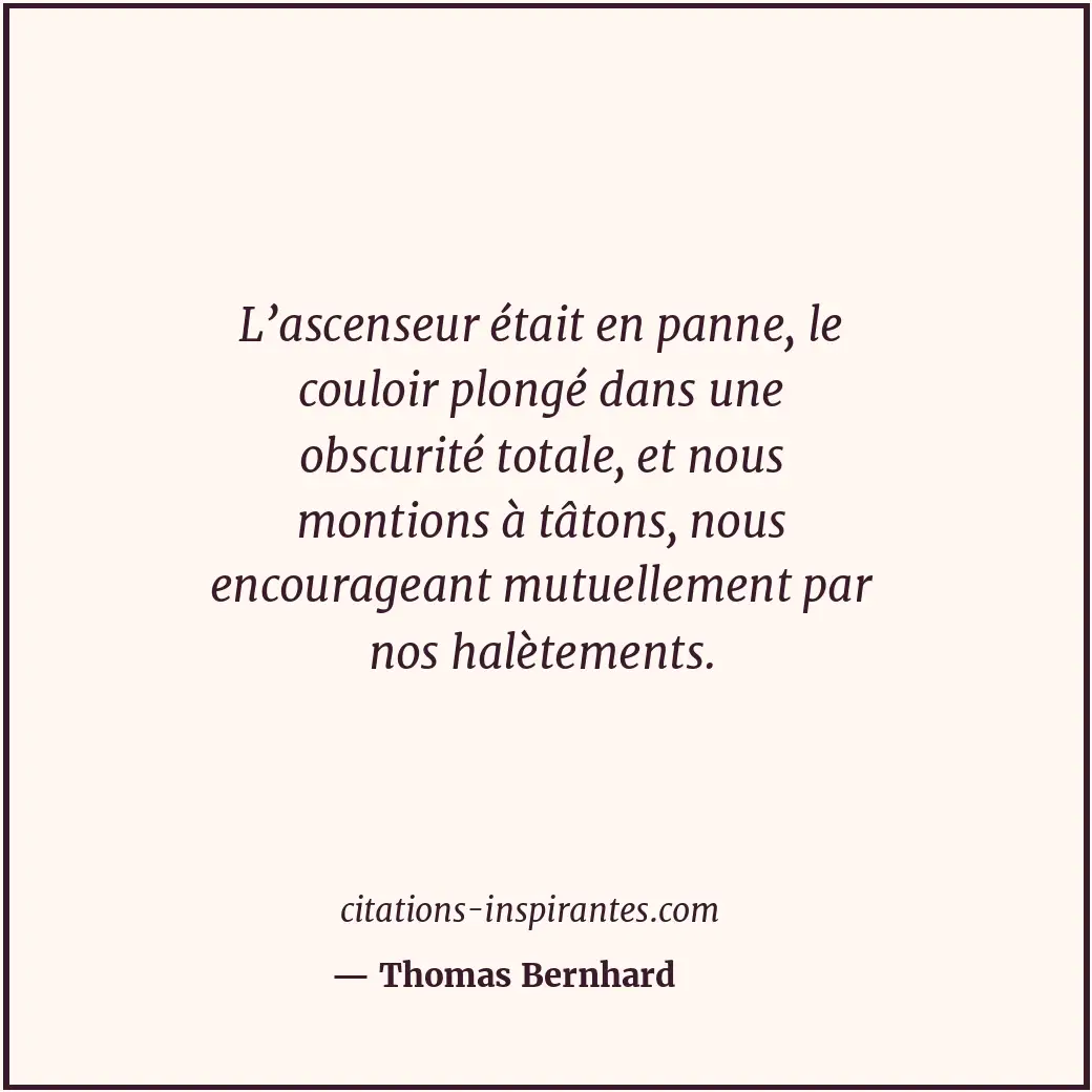 Citation de Thomas Bernhard