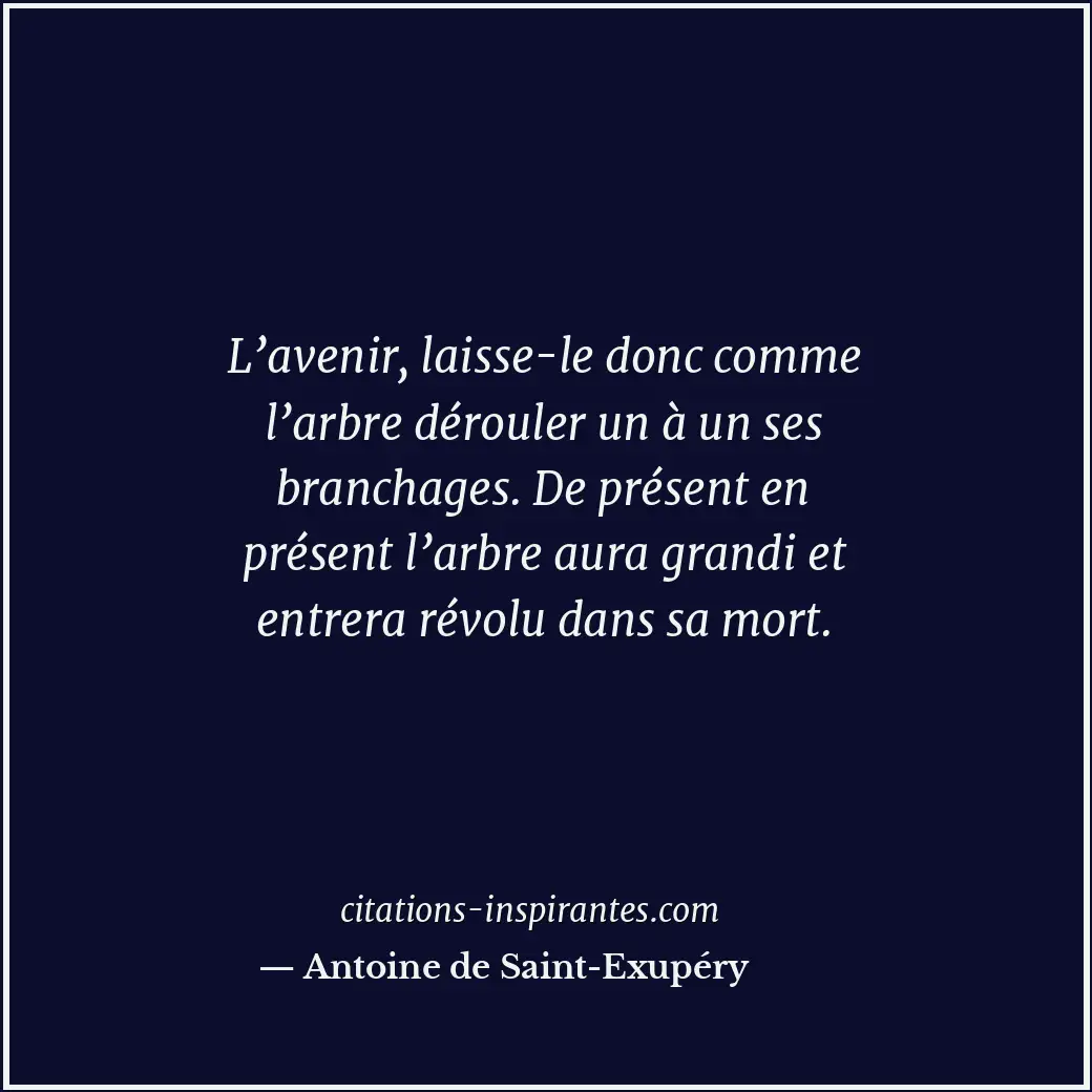 Citation de Antoine de Saint-Exupéry
