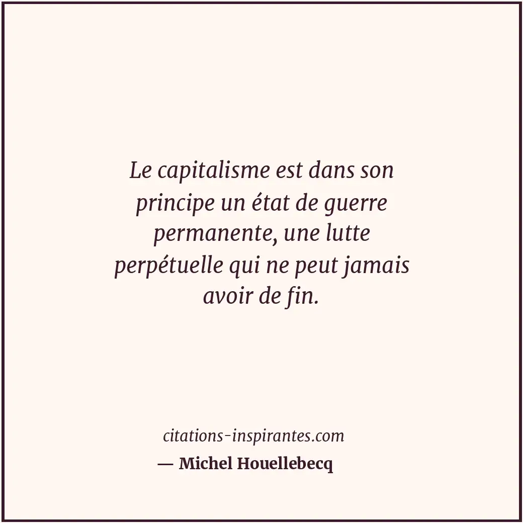 Citation de Michel Houellebecq