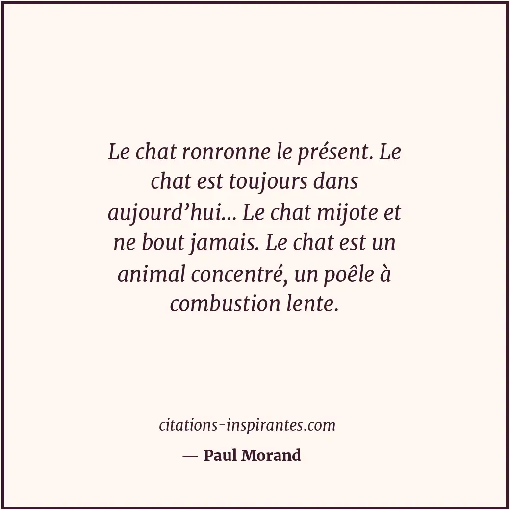 Le chat ronronne le présent. Le chat est toujours dans aujourd’hui... Le chat mi... Citation de Paul Morand