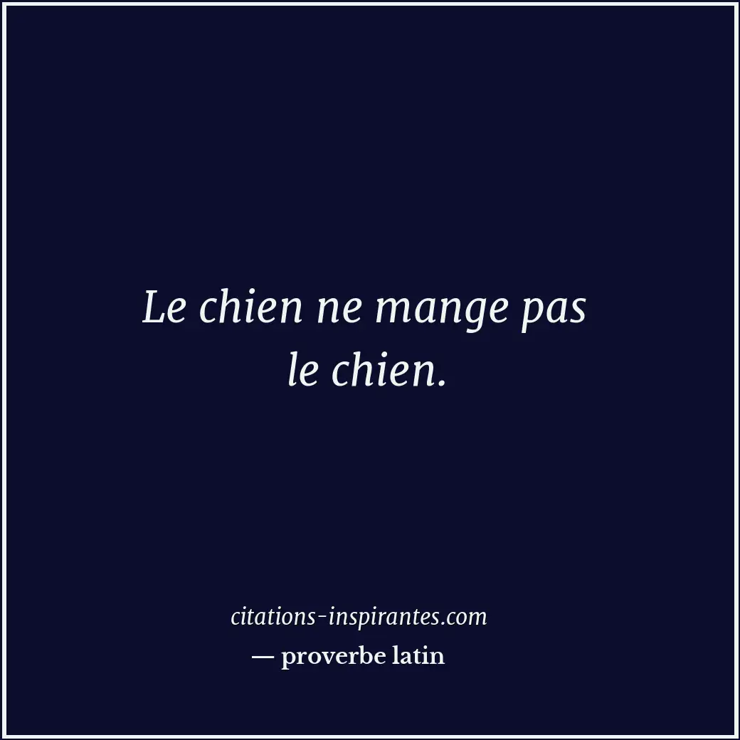 Le chien ne mange pas le chien. Citation de proverbe latin
