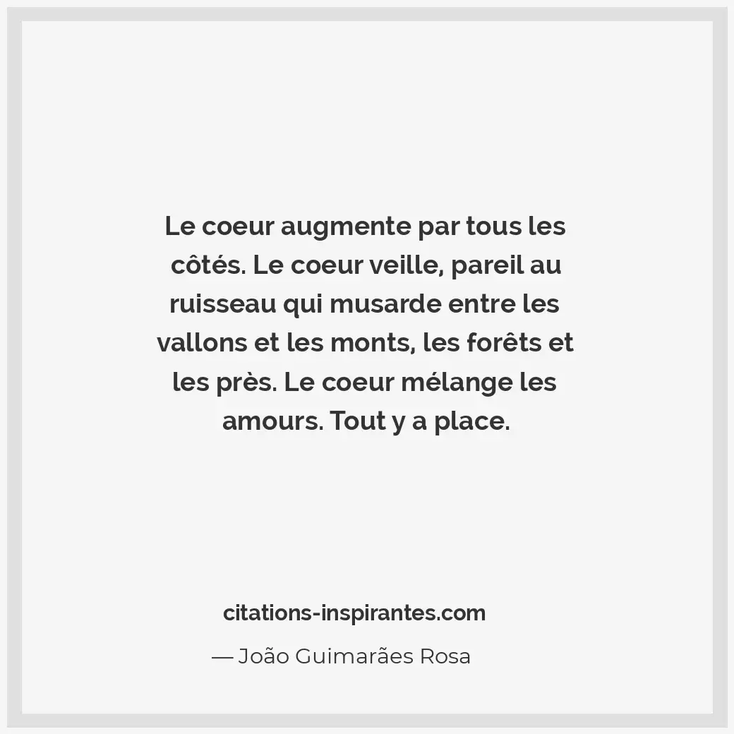 Citation de João Guimarães Rosa