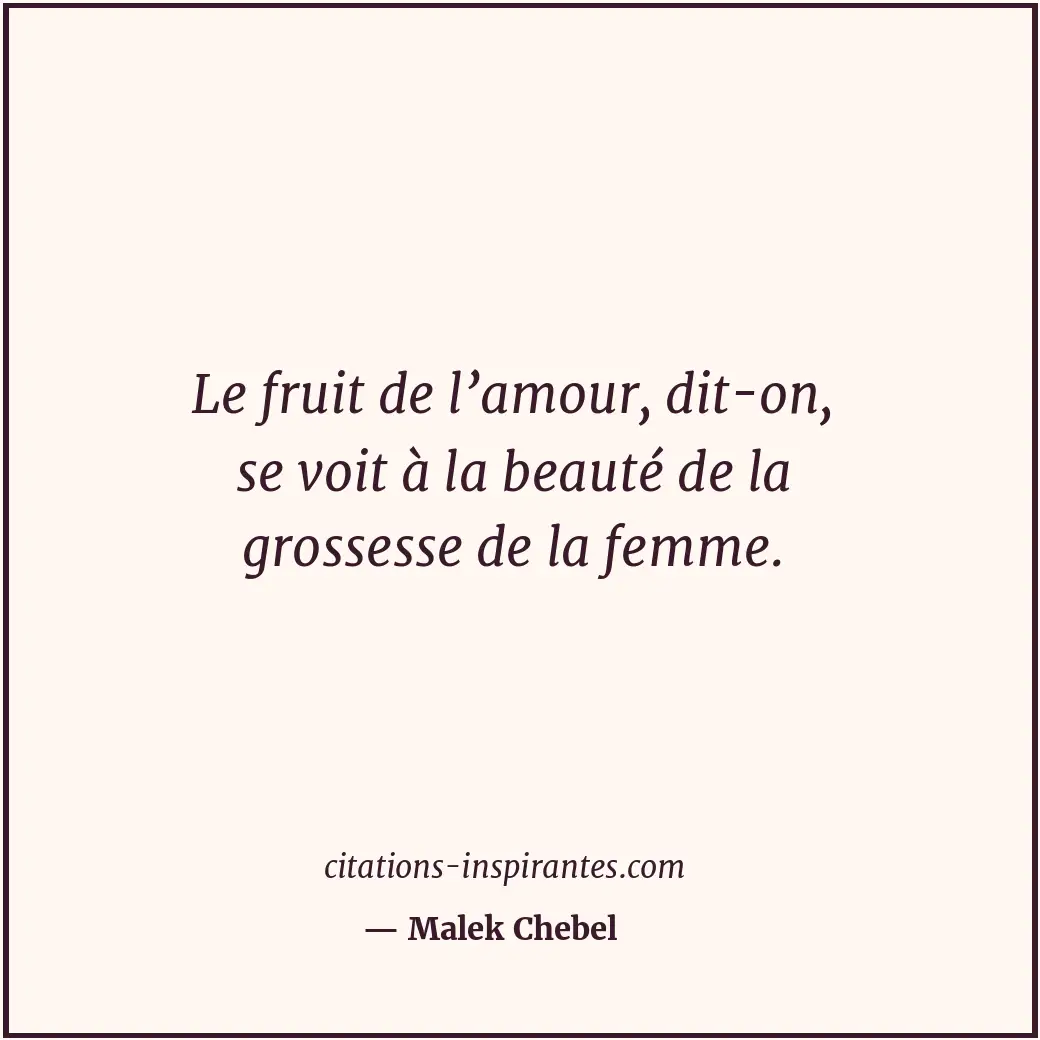 Le fruit de l’amour, dit-on, se voit à la beauté de la grossesse de la femme. Citation de Malek Chebel