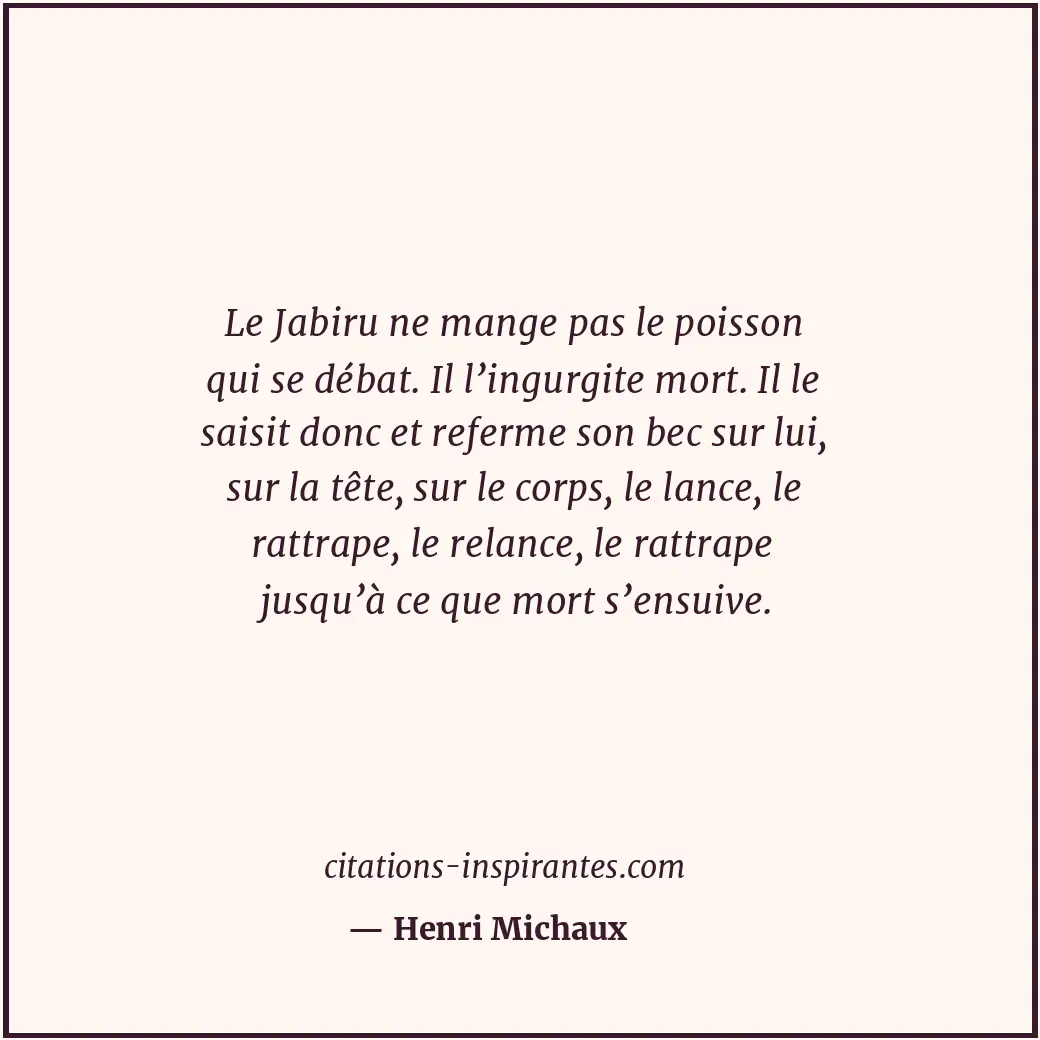 Citation de Henri Michaux