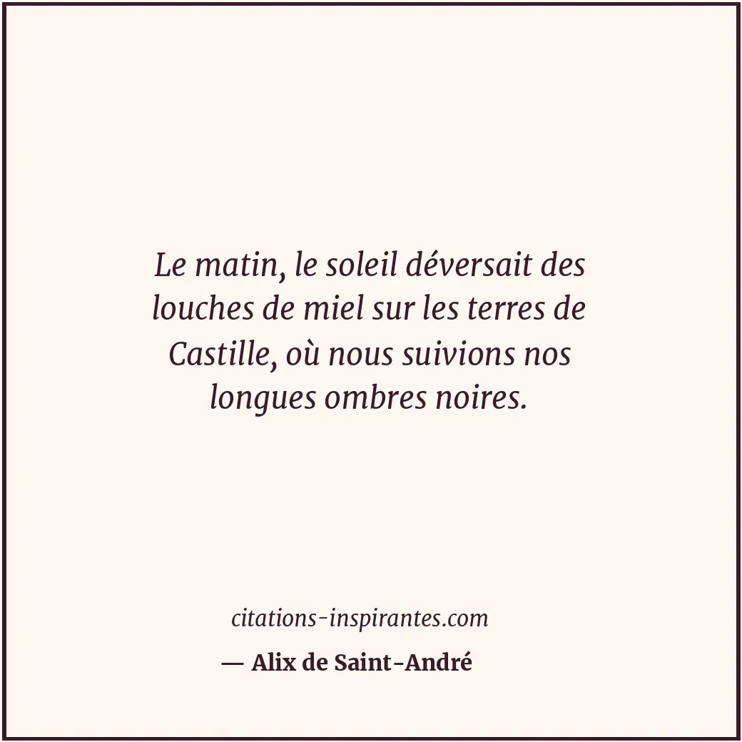 Citation de Alix de Saint-André