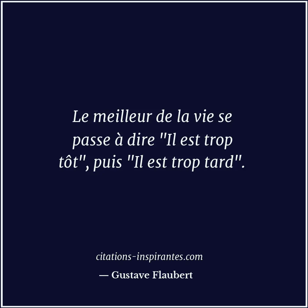 Citation de Gustave Flaubert