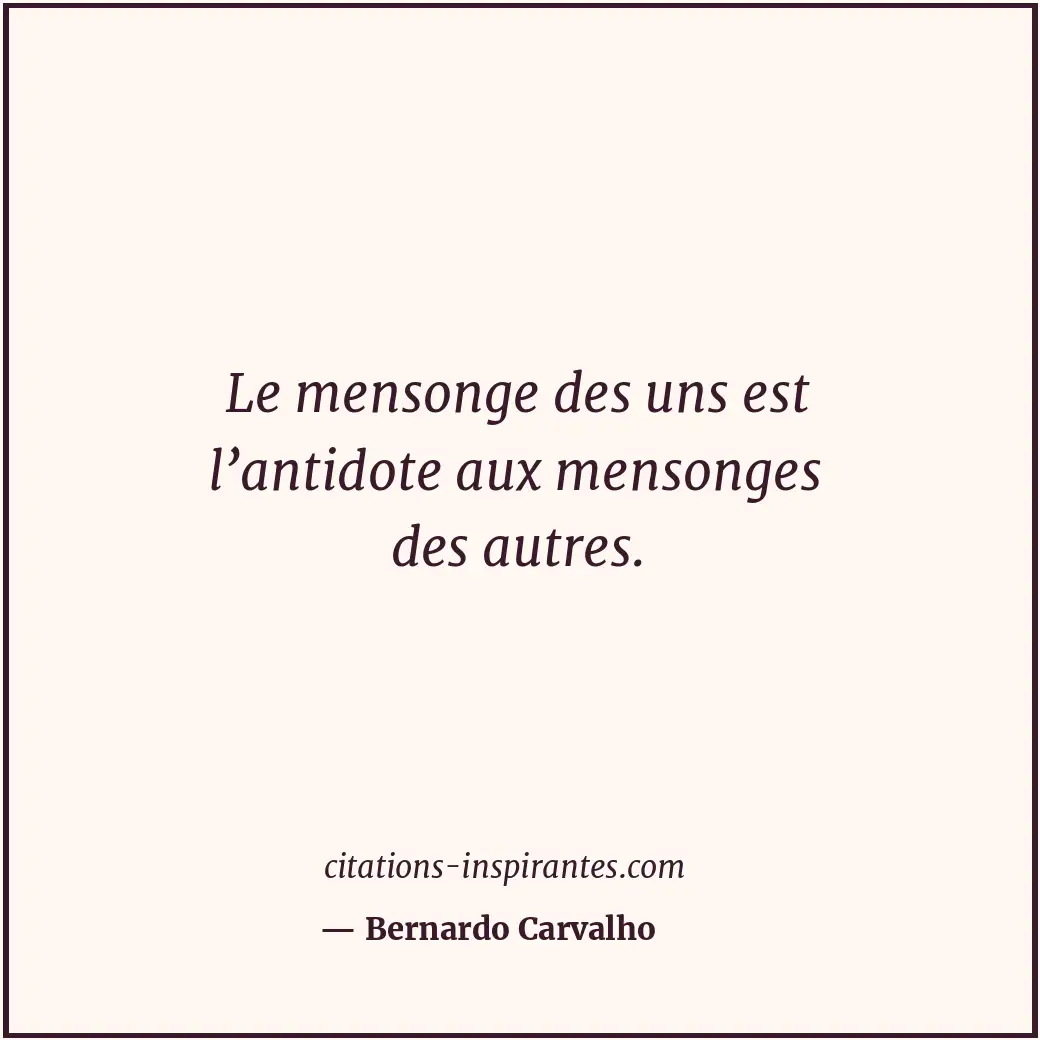 Citation de Bernardo Carvalho