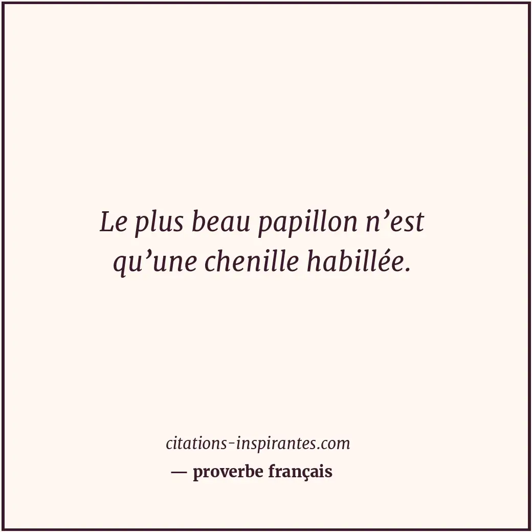 Le plus beau papillon n’est qu’une chenille habillée. Citation de proverbe français