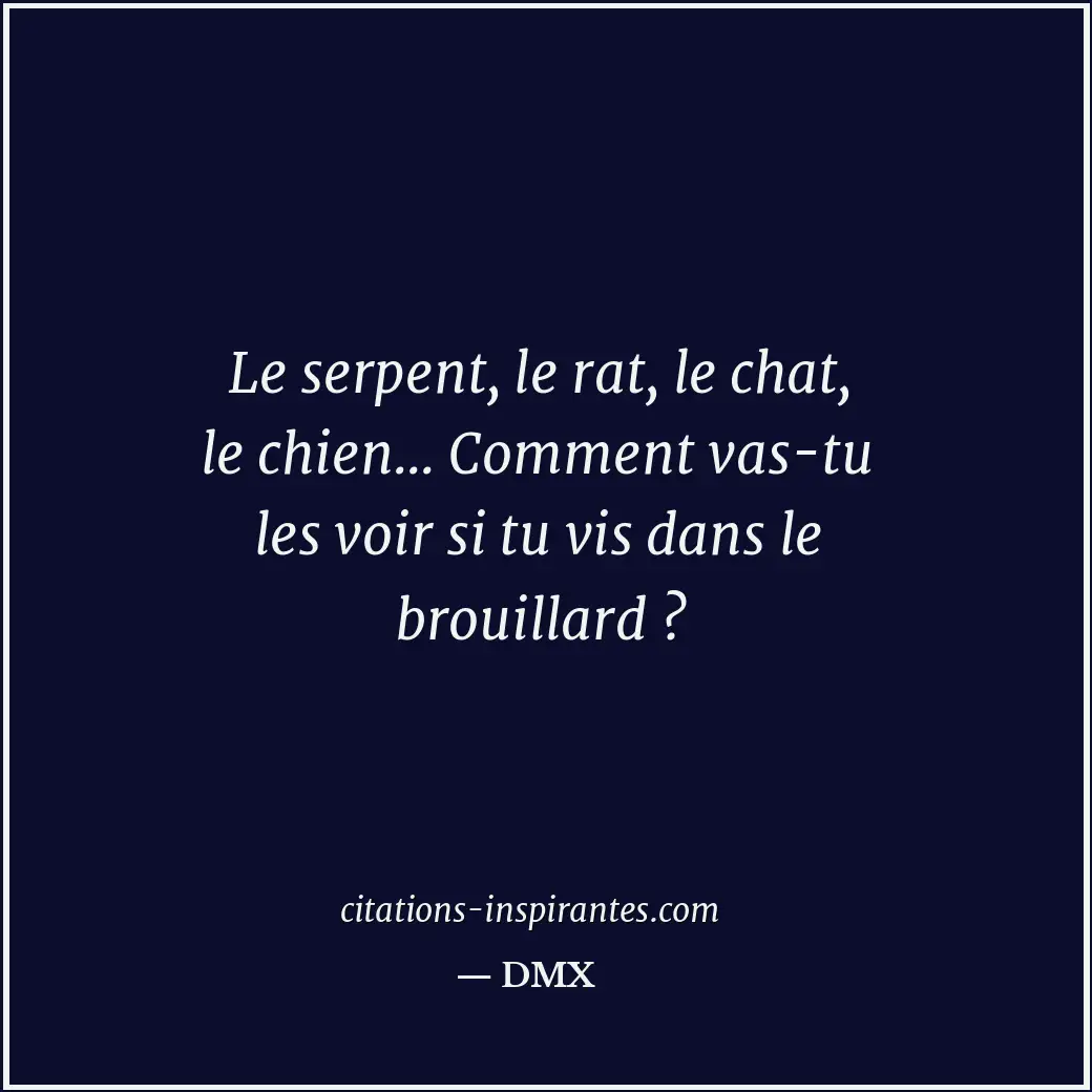 Citation de DMX