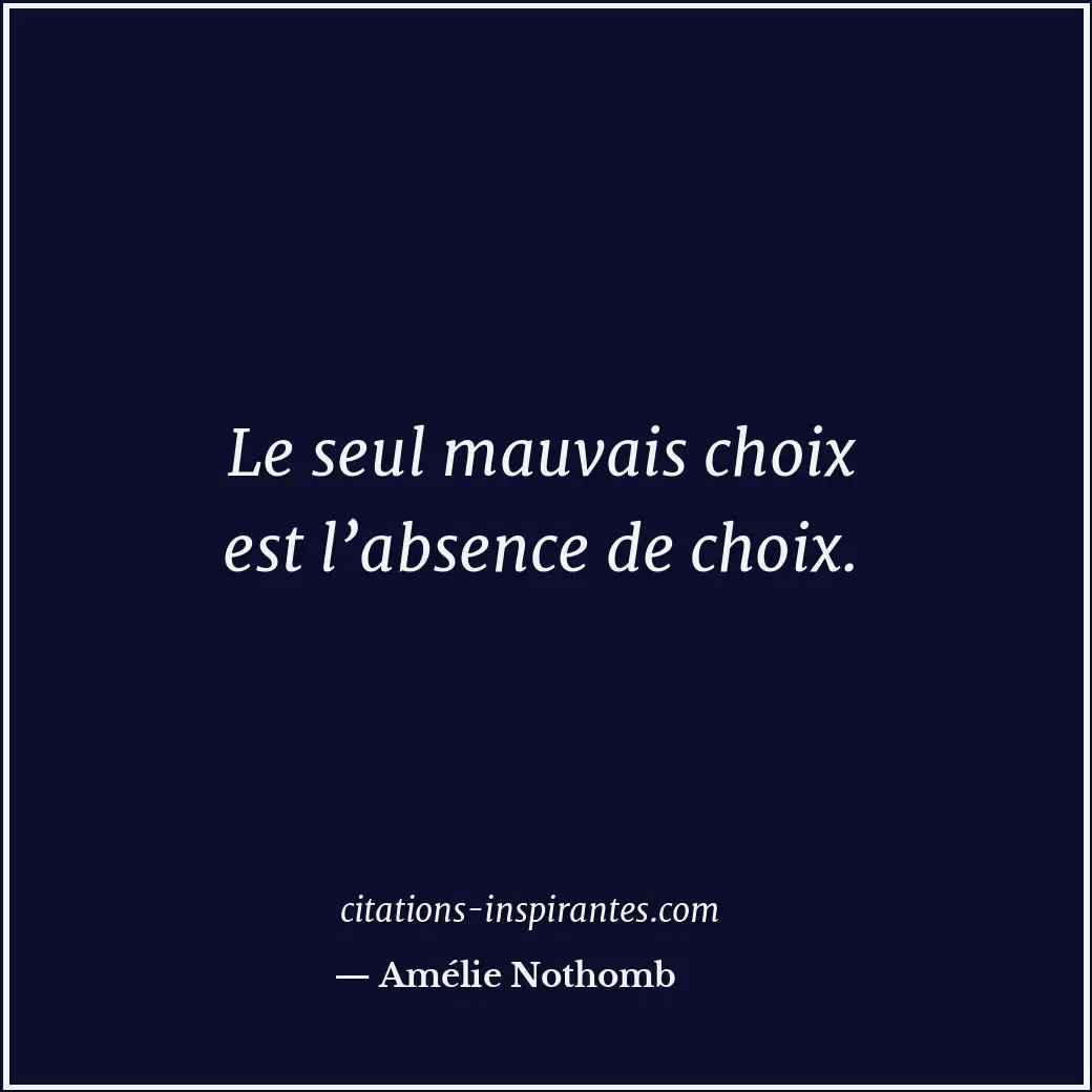 Citation de Amélie Nothomb